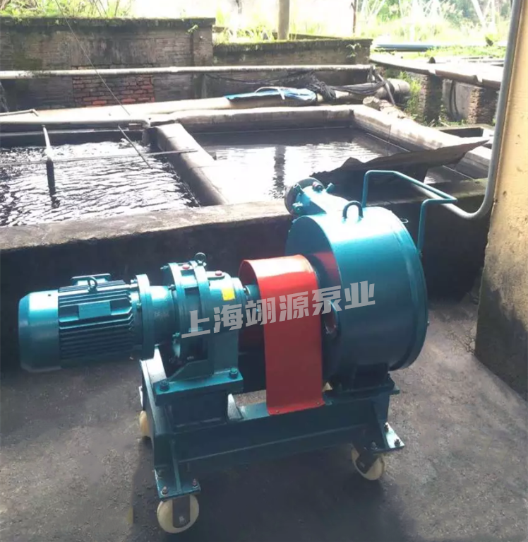 软管泵-污水处理案例